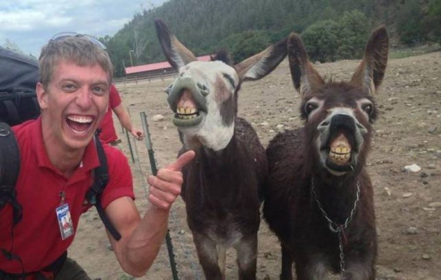 Подборка картинок. Вечерний выпуск - 22.12.2025