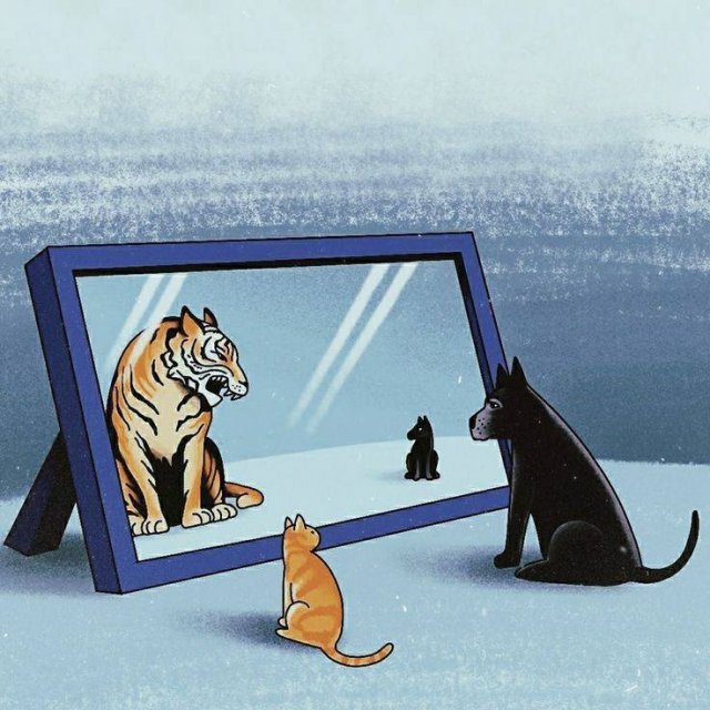 Картинки со смыслом - 23.12.2025