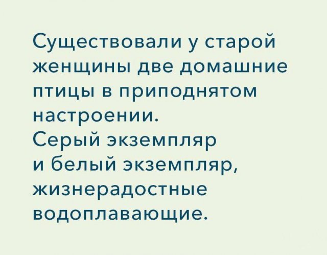 Смешные мемы - 23.12.2025