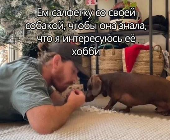 Смешные мемы - 23.12.2025
