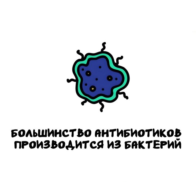 Интересные факты на все случаи жизни