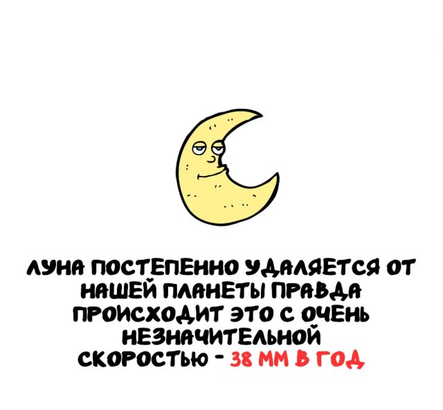 Интересные факты на все случаи жизни