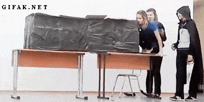 Подборка гифок -  23.12.2025