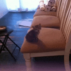 Подборка гифок -  23.12.2025