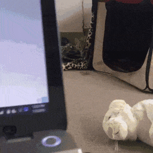 Подборка гифок -  23.12.2025