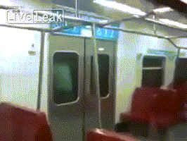 Подборка гифок -  23.12.2025