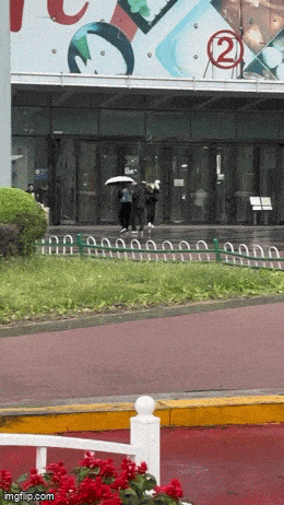 Подборка гифок -  23.12.2025