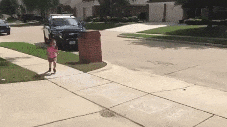 Подборка гифок -  23.12.2025