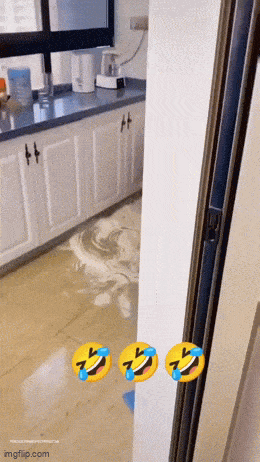 Подборка гифок -  23.12.2025