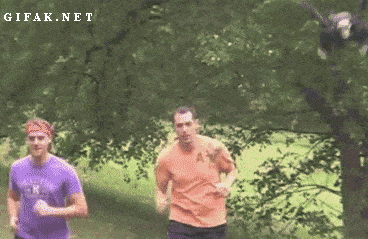 Подборка гифок -  23.12.2025