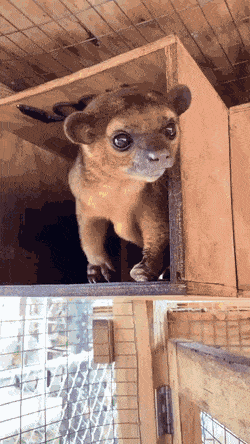 Подборка гифок -  24.12.2025