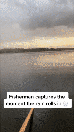 Подборка гифок -  24.12.2025