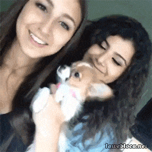 Подборка гифок -  24.12.2025