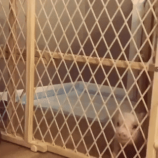 Подборка гифок -  24.12.2025