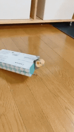 Подборка гифок -  24.12.2025