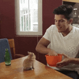 Подборка гифок -  24.12.2025