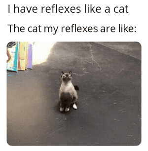 Подборка гифок -  24.12.2025