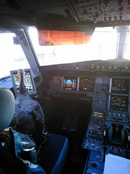 Подборка картинок. Вечерний выпуск - 24.12.2025