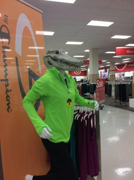 Подборка картинок. Вечерний выпуск - 24.12.2025