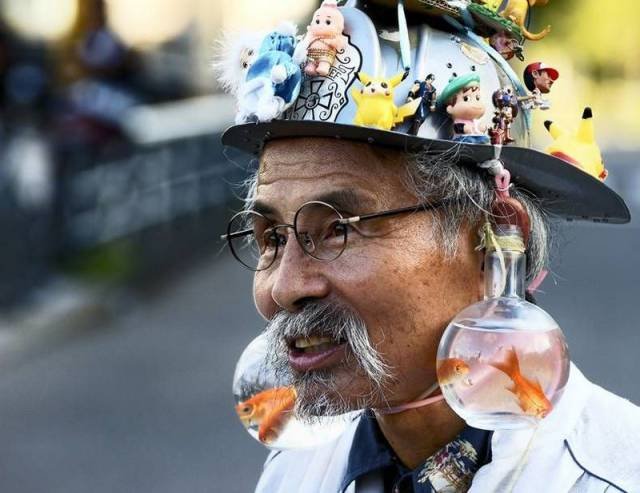 Подборка картинок. Вечерний выпуск - 24.12.2025