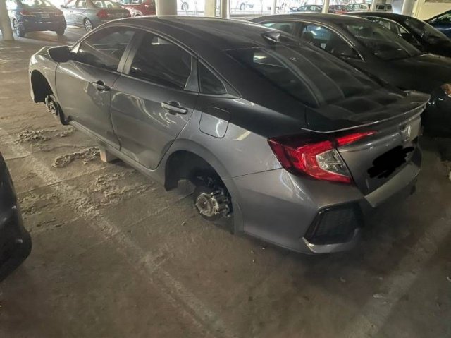 Подборка картинок. Вечерний выпуск - 24.12.2025