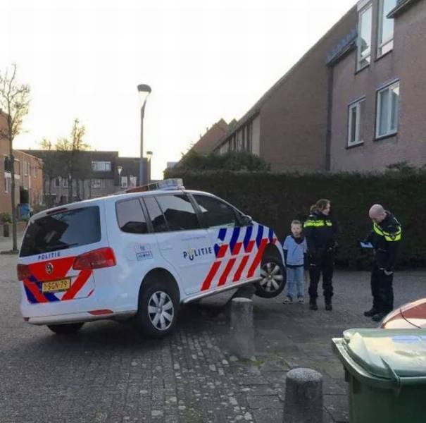 Подборка картинок. Вечерний выпуск - 24.12.2025