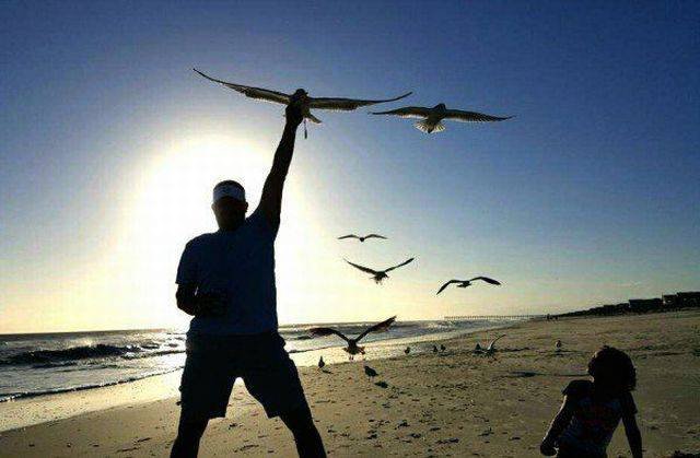 Подборка картинок. Вечерний выпуск - 24.12.2025