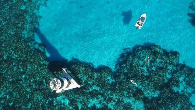 Подборка картинок. Вечерний выпуск - 23.12.2025