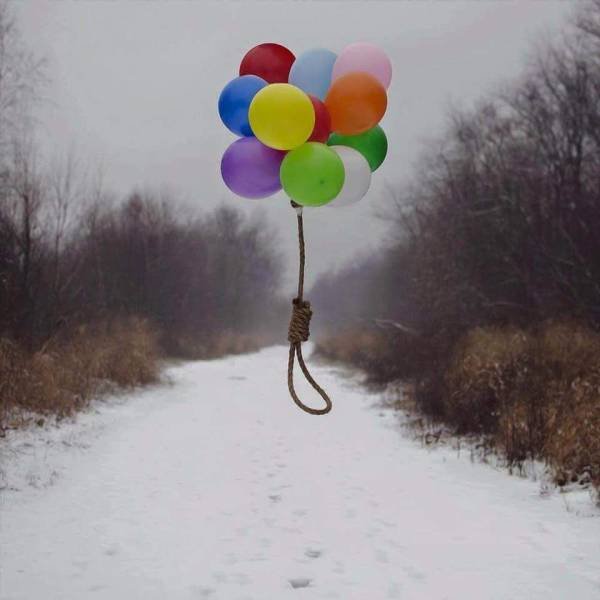 Подборка картинок. Вечерний выпуск - 23.12.2025