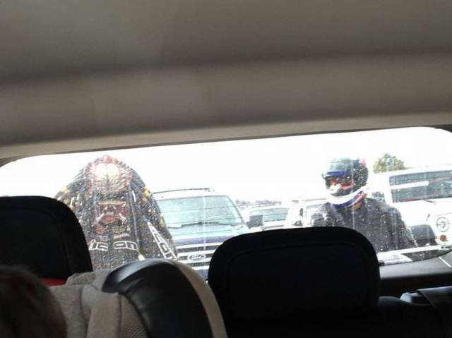 Подборка картинок. Вечерний выпуск - 23.12.2025