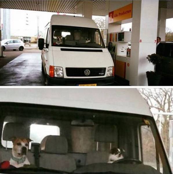 Подборка картинок. Вечерний выпуск - 23.12.2025