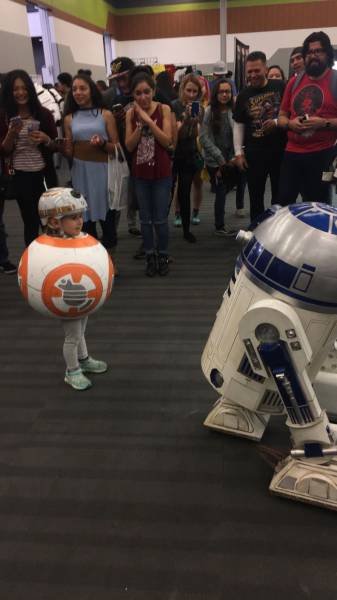 Подборка картинок. Вечерний выпуск - 23.12.2025