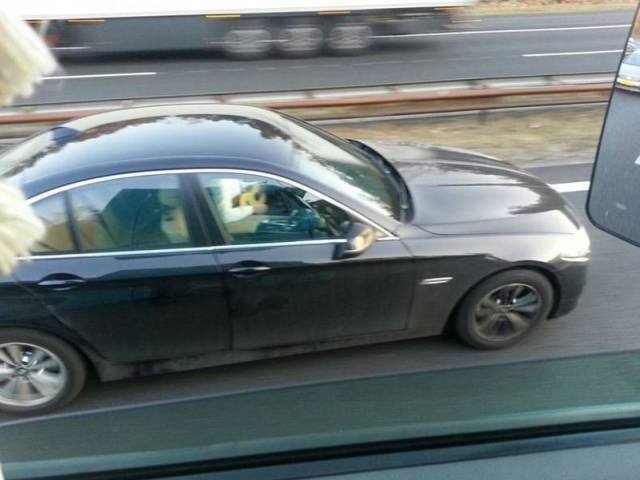 Подборка картинок. Вечерний выпуск - 23.12.2025