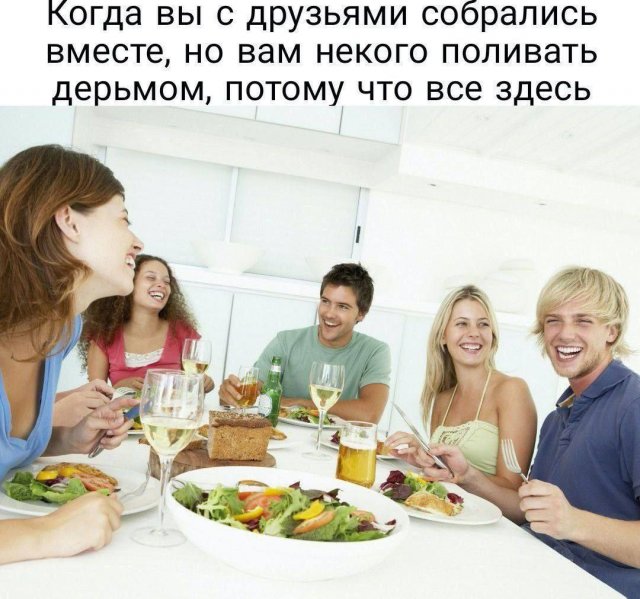 Лучшие шутки и мемы из Сети - 24.12.2025