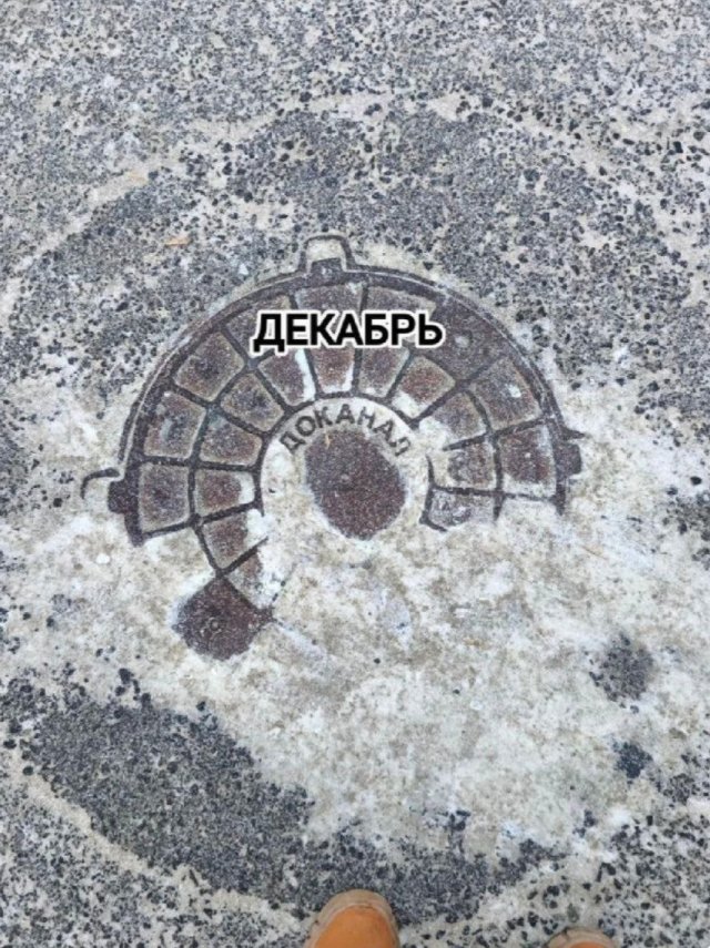 Лучшие шутки и мемы из Сети - 24.12.2025