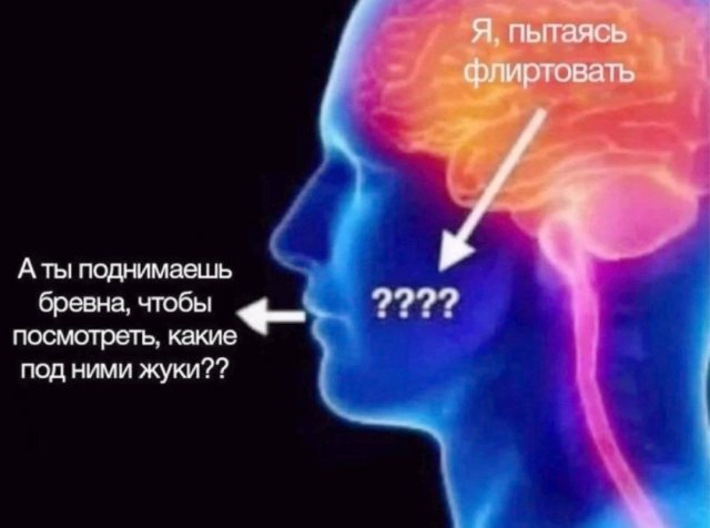 Лучшие шутки и мемы из Сети - 24.12.2025