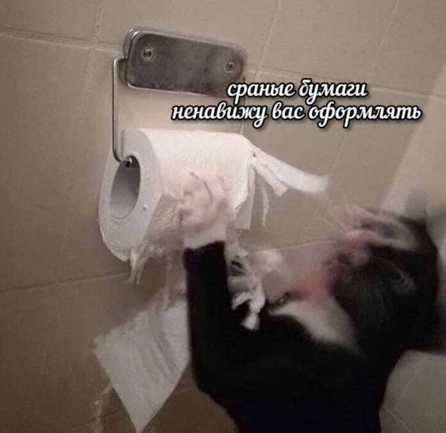 Смешные мемы - 25.12.2025