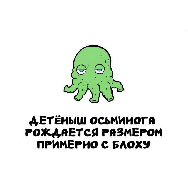 Интересные факты на все случаи жизни