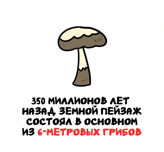 Интересные факты на все случаи жизни