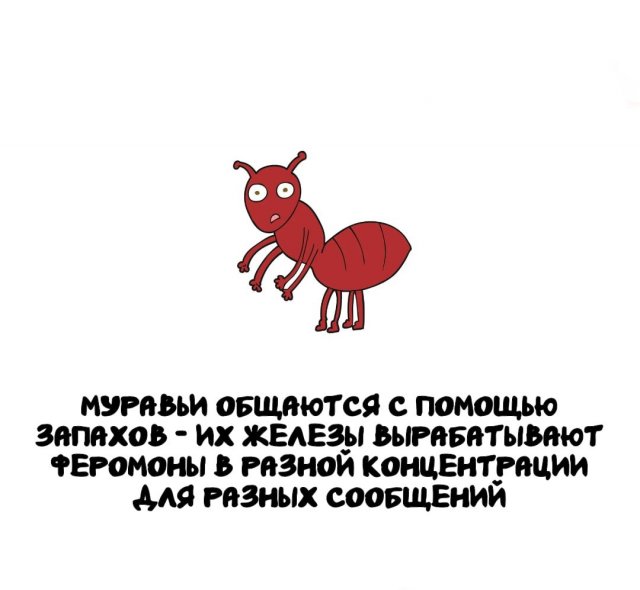 Интересные факты на все случаи жизни