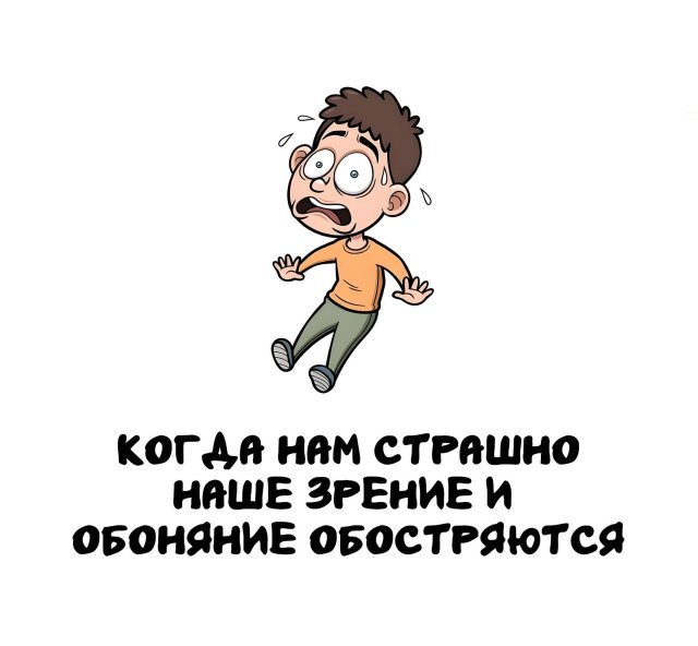 Интересные факты на все случаи жизни