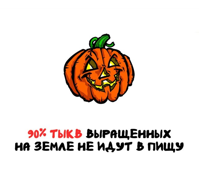 Интересные факты на все случаи жизни