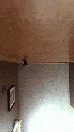 Подборка гифок -  25.12.2025