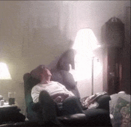 Подборка гифок -  25.12.2025