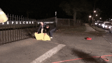 Подборка гифок -  25.12.2025