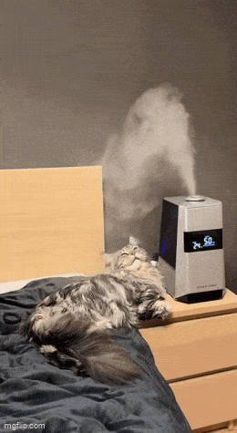 Подборка гифок -  25.12.2025