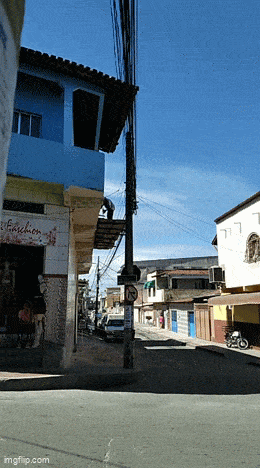 Подборка гифок -  25.12.2025