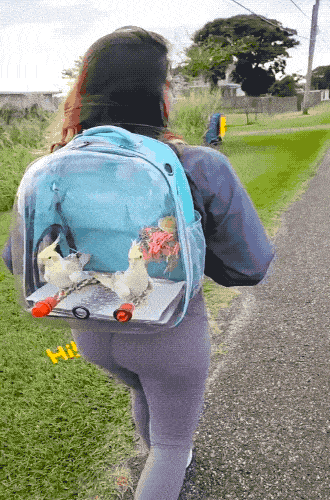 Подборка гифок -  25.12.2025