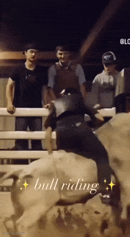 Подборка гифок -  25.12.2025