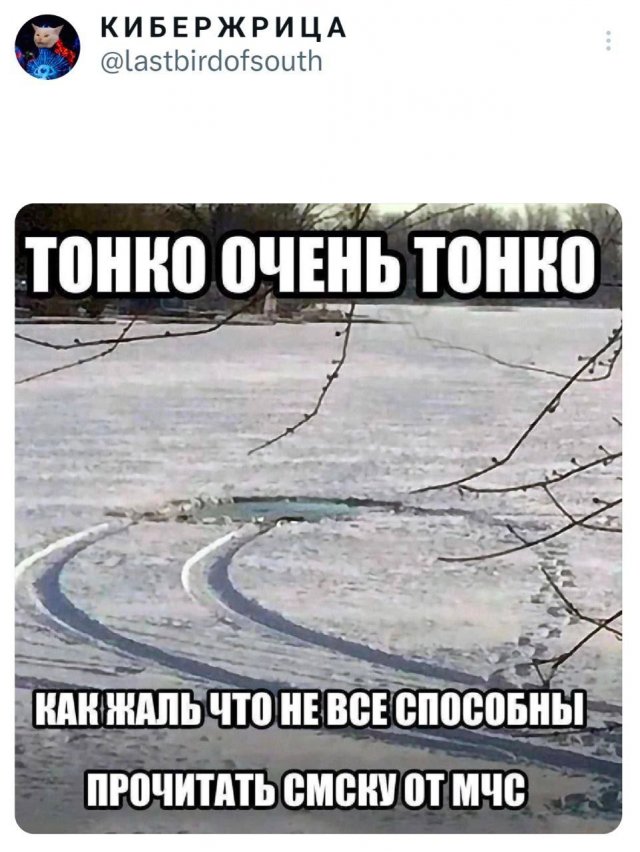 Подборка забавных твитов обо всем